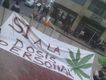 si a la dosis personal