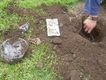 desenterrando escombros de la tierra chirri de esta Atenas suramericana