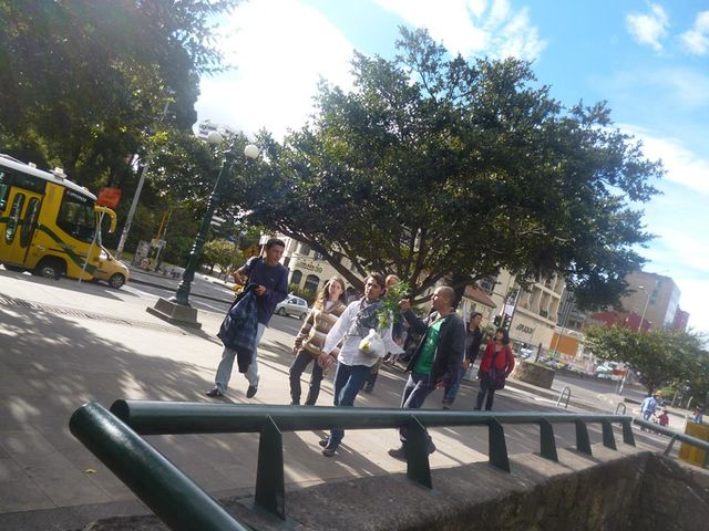 caída de los parches